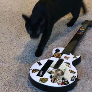 XXXX大人🍆🍆HD
